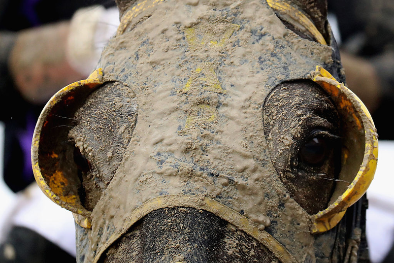 Illustration for article titled The Preakness Was A Foggy, Muddy, Wonderful Mess